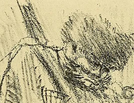 An illustration from Le peintre-graveur illustré : (xix et xx siècles), 1906, leaf 290