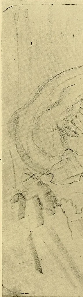 An illustration from Le peintre-graveur illustré : (xix et xx siècles), 1906, leaf 314
