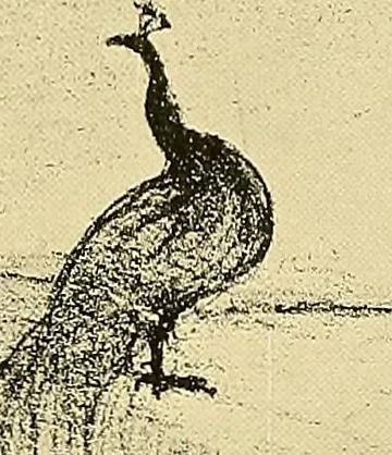 An illustration from Le peintre-graveur illustré : (xix et xx siècles), 1906, leaf 354