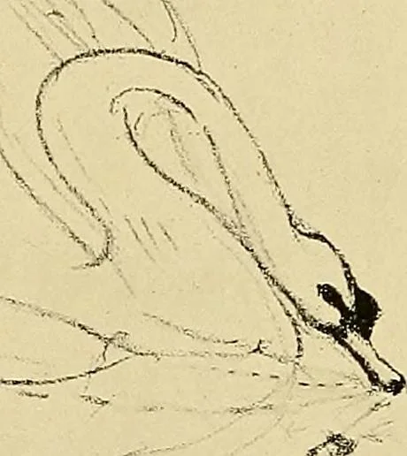 An illustration from Le peintre-graveur illustré : (xix et xx siècles), 1906, leaf 355