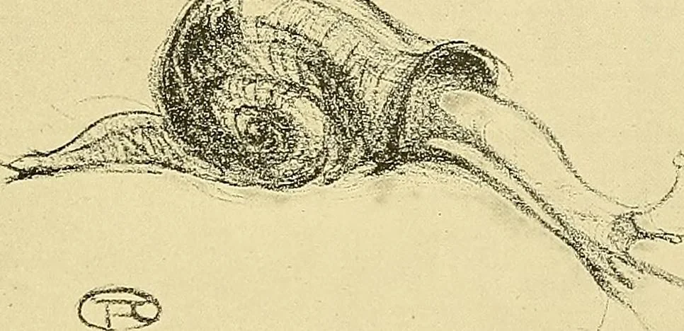 An illustration from Le peintre-graveur illustré : (xix et xx siècles), 1906, leaf 360