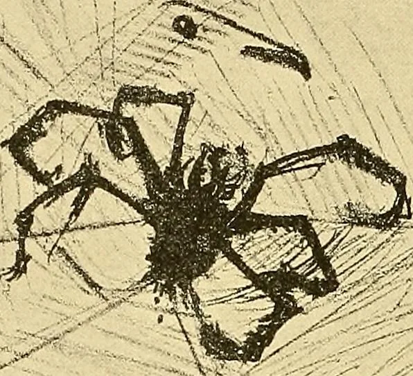 An illustration from Le peintre-graveur illustré : (xix et xx siècles), 1906, leaf 361