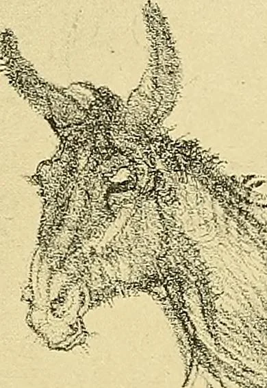 An illustration from Le peintre-graveur illustré : (xix et xx siècles), 1906, leaf 366
