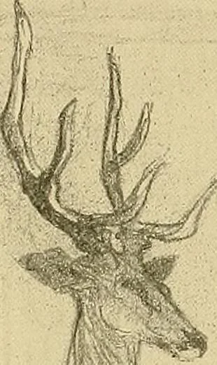 An illustration from Le peintre-graveur illustré : (xix et xx siècles), 1906, leaf 367