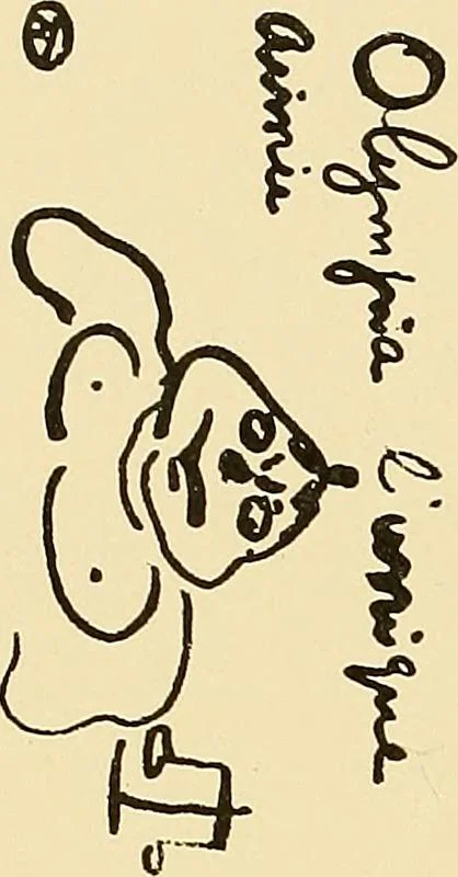 An illustration from Le peintre-graveur illustré : (xix et xx siècles), 1906, leaf 391