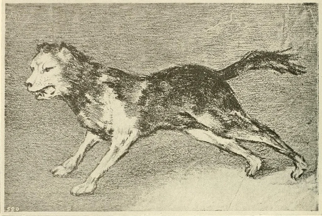 An illustration from Le peintre-graveur illustré : (xix et xx siècles), 1906, leaf 399