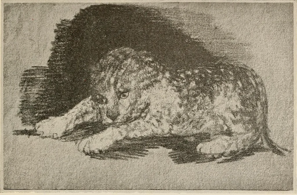 An illustration from Le peintre-graveur illustré : (xix et xx siècles), 1906, leaf 400