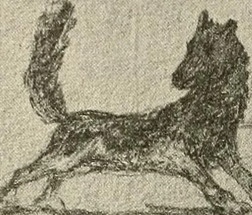 An illustration from Le peintre-graveur illustré : (xix et xx siècles), 1906, leaf 401