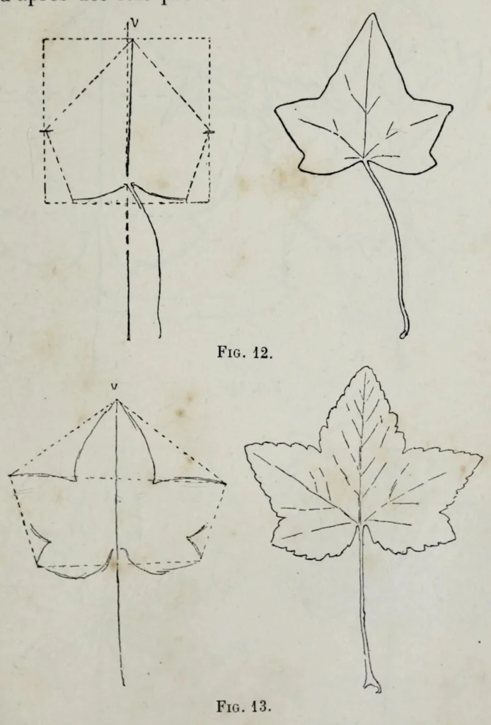 An illustration from Le peintre : traité usuel de peinture à l'usage de tout le monde, 1907, leaf 37