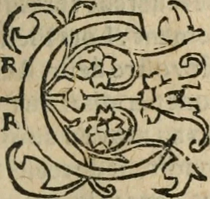 An illustration from Le philocope de messire Iean Boccace Florentin : contenant l'histoire de Fleury & Blanchefleur., 1555, leaf 190