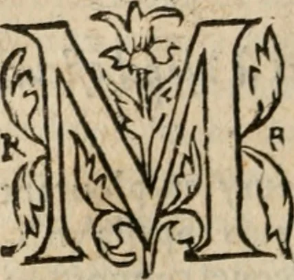 An illustration from Le philocope de messire Iean Boccace Florentin : contenant l'histoire de Fleury & Blanchefleur., 1555, leaf 217