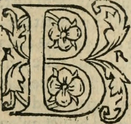 An illustration from Le philocope de messire Iean Boccace Florentin : contenant l'histoire de Fleury & Blanchefleur., 1555, leaf 220