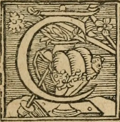 An illustration from Le philocope de messire Iean Boccace Florentin : contenant l'histoire de Fleury & Blanchefleur., 1555, leaf 28