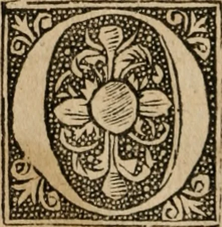 An illustration from Le philocope de messire Iean Boccace Florentin : contenant l'histoire de Fleury & Blanchefleur., 1555, leaf 33