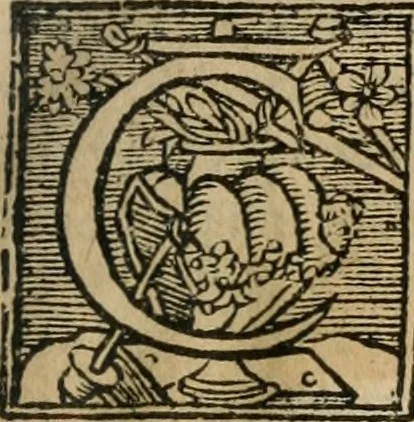 An illustration from Le philocope de messire Iean Boccace Florentin : contenant l'histoire de Fleury & Blanchefleur., 1555, leaf 40