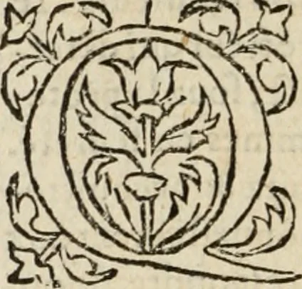An illustration from Le philocope de messire Iean Boccace Florentin : contenant l'histoire de Fleury & Blanchefleur., 1555, leaf 455