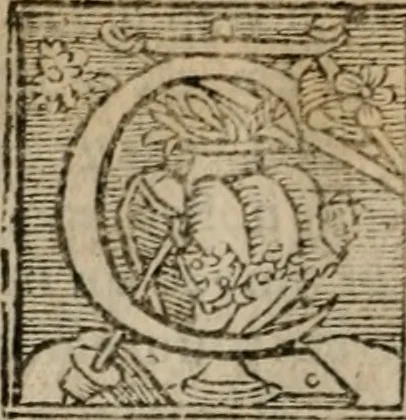 An illustration from Le philocope de messire Iean Boccace Florentin : contenant l'histoire de Fleury & Blanchefleur., 1555, leaf 75