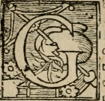 An illustration from Le philocope de messire Iean Boccace Florentin : contenant l'histoire de Fleury & Blanchefleur., 1555, leaf 77