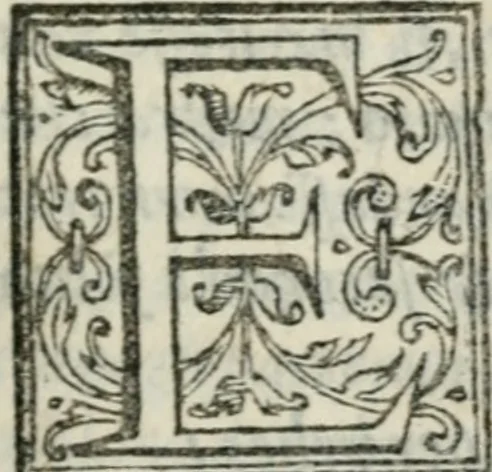 An illustration from Le pie narrationi dell'opere piv memorabili fatte in Roma l'anno del givbileo MDLXXV, 1583, leaf 20