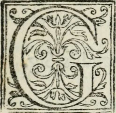 An illustration from Le pie narrationi dell'opere piv memorabili fatte in Roma l'anno del givbileo MDLXXV, 1583, leaf 9