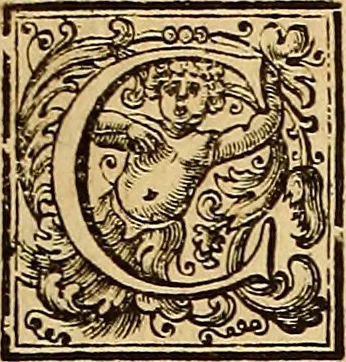 An illustration from Le pitture antiche delle grotte di Roma, e del sepolcro de' Nasonj : disegnate, & intagliate alla similitudine degli antichi originali, 1706, leaf 164