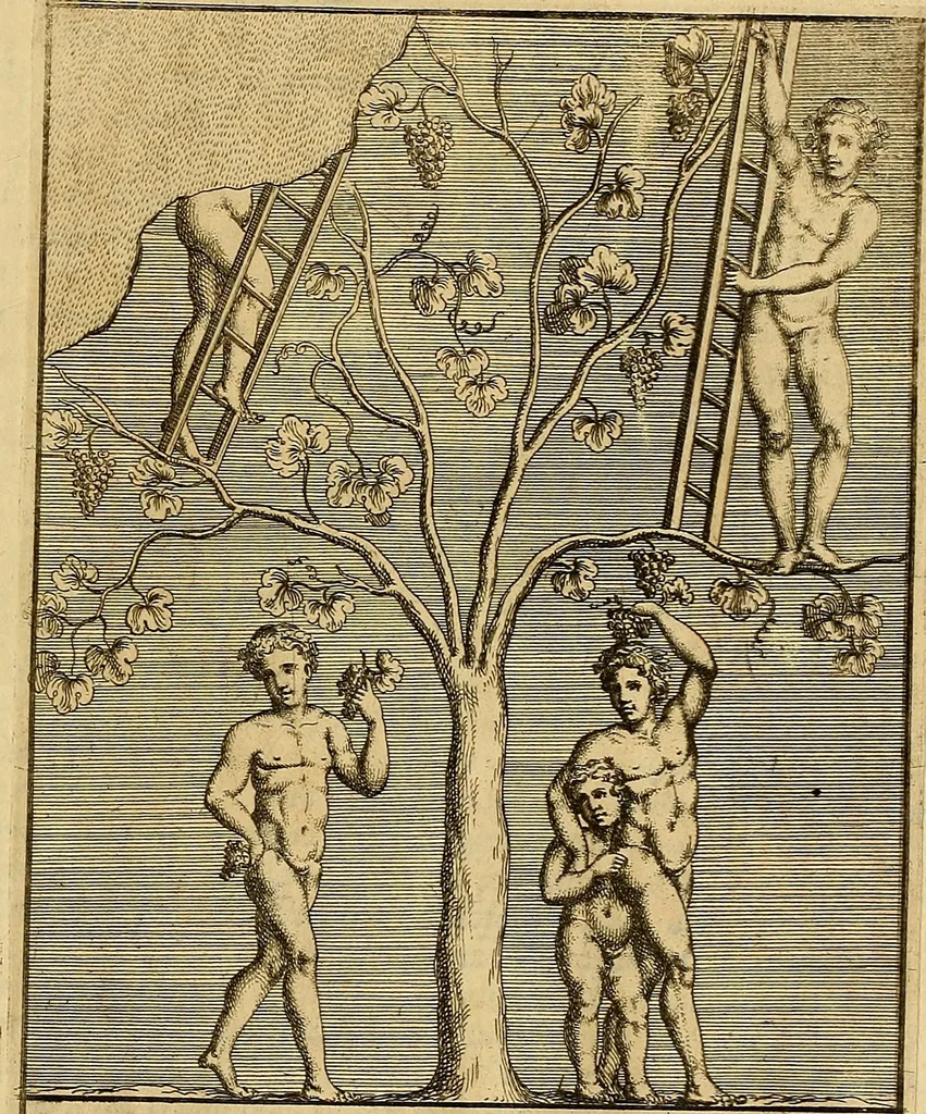 An illustration from Le pitture antiche delle grotte di Roma, e del sepolcro de' Nasonj : disegnate, & intagliate alla similitudine degli antichi originali, 1706, leaf 58