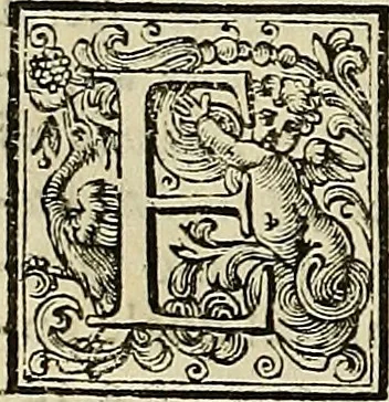 An illustration from Le pitture antiche delle grotte di Roma, e del sepolcro de' Nasonj : disegnate, & intagliate alla similitudine degli antichi originali, 1706, leaf 65