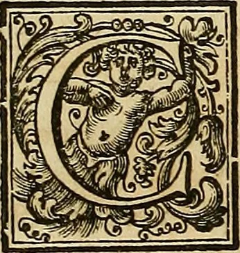 An illustration from Le pitture antiche delle grotte di Roma, e del sepolcro de' Nasonj : disegnate, & intagliate alla similitudine degli antichi originali, 1706, leaf 85