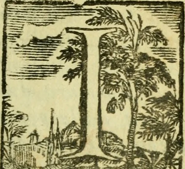An illustration from Le pitture di Bologna : che nelle pretesa, e rimostrata fin' ora da altri maggiore antichità, e impareggiabile eccellenza nella pittura, con manifesta evidenza di fatto, rendono il passeggiere disingannato, ed istrutto ; dell' Ascoso accademico gelato, 1732, leaf 8