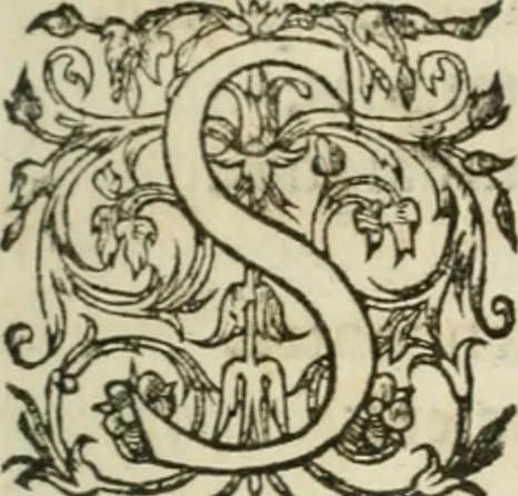 An illustration from Le plaisant iev dv dodechedron de fortune, non moins recreatif, que subtil & ingenieux. Renouuellé & changé de sa premiere edition, 1560, leaf 14