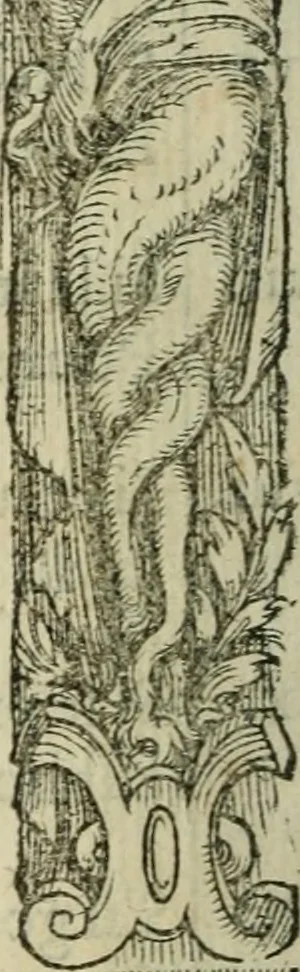 An illustration from Le plaisant iev dv dodechedron de fortune, non moins recreatif, que subtil & ingenieux. Renouuellé & changé de sa premiere edition, 1560, leaf 27