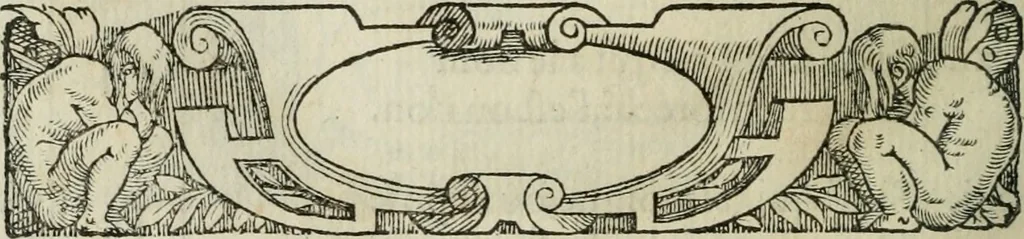 An illustration from Le plaisant iev dv dodechedron de fortune, non moins recreatif, que subtil & ingenieux. Renouuellé & changé de sa premiere edition, 1560, leaf 33