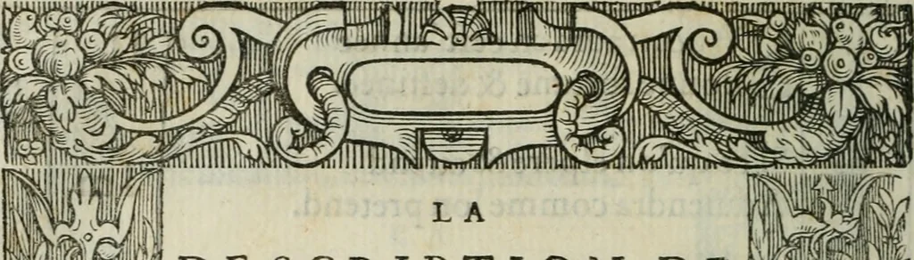 An illustration from Le plaisant iev dv dodechedron de fortune, non moins recreatif, que subtil & ingenieux. Renouuellé & changé de sa premiere edition, 1560, leaf 43