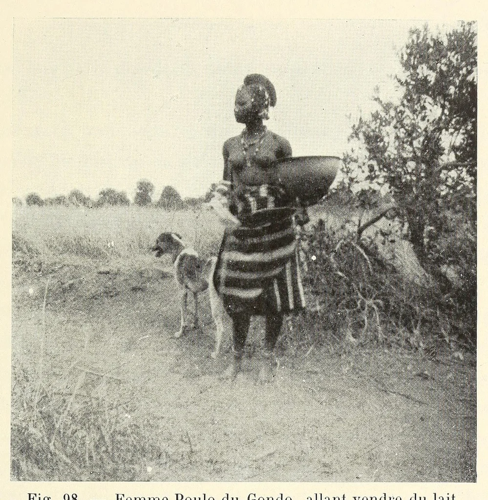 An illustration from Le plateau central Nigâerien: une mission archâeologique et ethnographique au Soudan franðcais, 1907, leaf 209