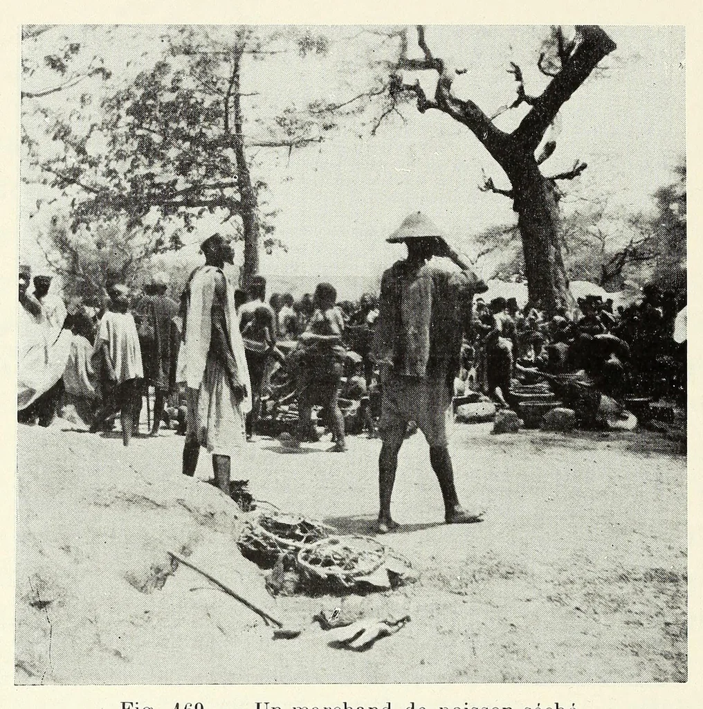 An illustration from Le plateau central Nigâerien: une mission archâeologique et ethnographique au Soudan franðcais, 1907, leaf 468