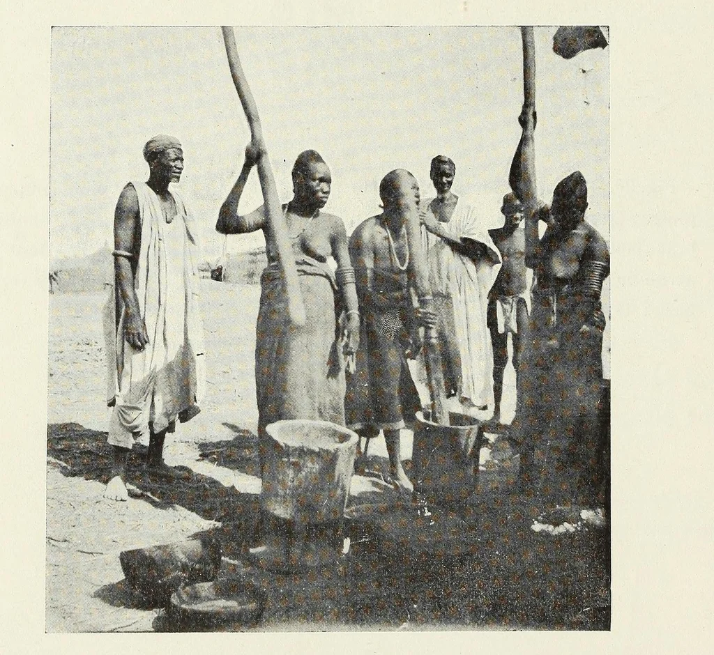 An illustration from Le plateau central Nigâerien: une mission archâeologique et ethnographique au Soudan franðcais, 1907, leaf 74