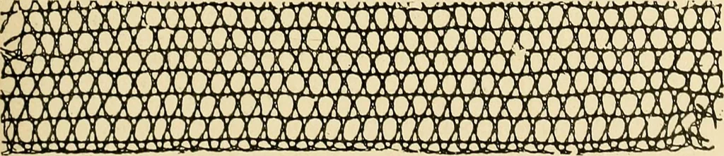 An illustration from Le poinct de France et les centres dentelliers au XVIIe et au XVIIIe siècles; ouvrage orné de quarante-trois illustrations, 1905, leaf 232