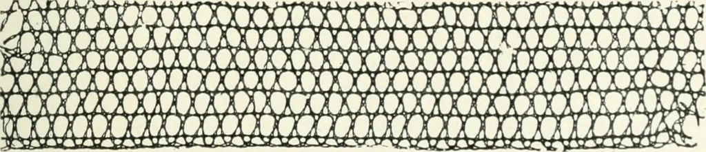 An illustration from Le poinct de France et les centres dentelliers au XVIIe et au XVIIIe siècles; ouvrage orné de quarante-trois illustrations, 1905, leaf 228