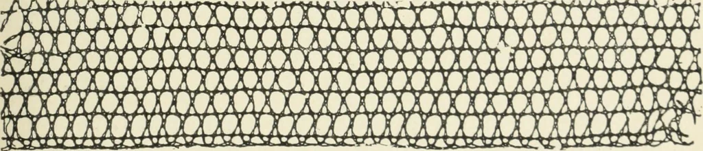 An illustration from Le poinct de France et les centres dentelliers au XVIIe et au XVIIIe siècles; ouvrage orné de quarante-trois illustrations, 1905, leaf 230