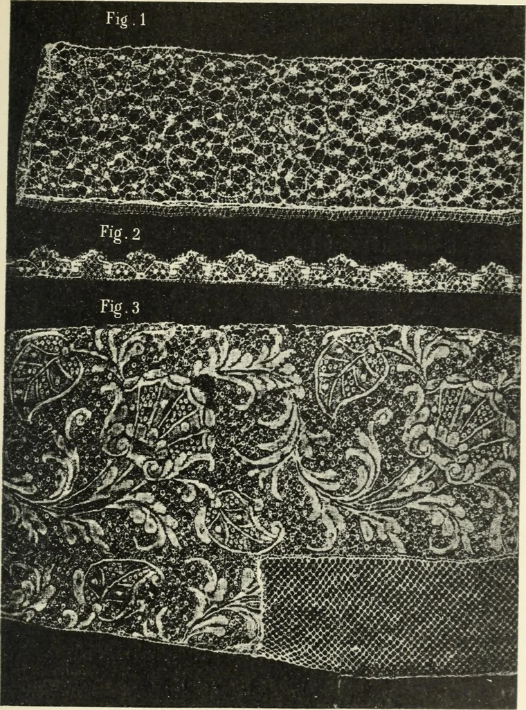 An illustration from Le poinct de France et les centres dentelliers au XVIIe et au XVIIIe siècles; ouvrage orné de quarante-trois illustrations, 1905, leaf 276