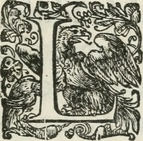 An illustration from Le pompe del Campidoglio per la sta. di N.S. Vrbano VIII. : quando pigliò possesso, 1624, leaf 8
