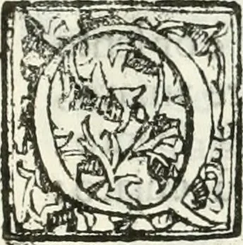 An illustration from Le pompe funebri celebrate da' Signori Accademici Infecondi di Roma per la morte dell'illustrissima Signora Elena Lucrezia Cornara Piscopia accademica, detta l'Inalterabile, 1686, leaf 128