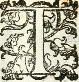 An illustration from Le pompe funebri celebrate da' Signori Accademici Infecondi di Roma per la morte dell'illustrissima Signora Elena Lucrezia Cornara Piscopia accademica, detta l'Inalterabile, 1686, leaf 137