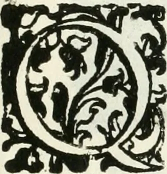 An illustration from Le pompe funebri celebrate da' Signori Accademici Infecondi di Roma per la morte dell'illustrissima Signora Elena Lucrezia Cornara Piscopia accademica, detta l'Inalterabile, 1686, leaf 58