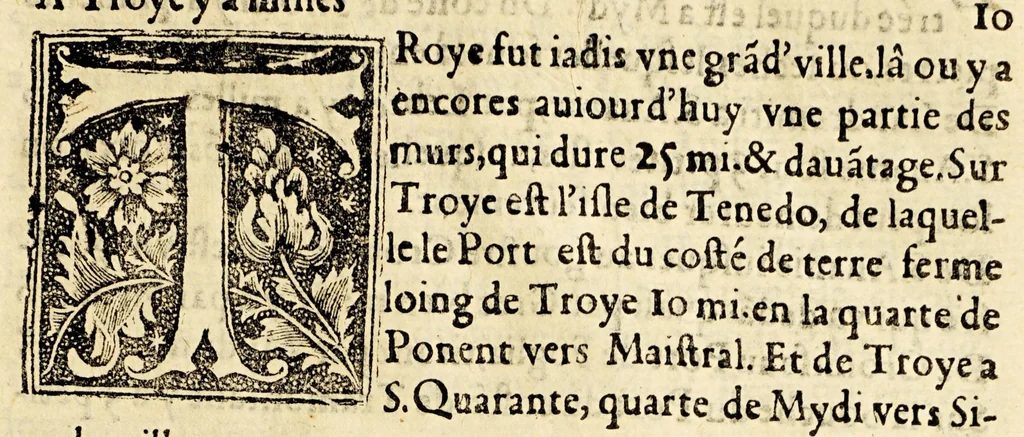 An illustration from Le portulan contenant la description tant des mers du Ponent despuis le destroict de Gibeltar iusques a la Schiuse en Flandres, que de la mer Mediterranée, ou du Leuant,, 1577, leaf 167