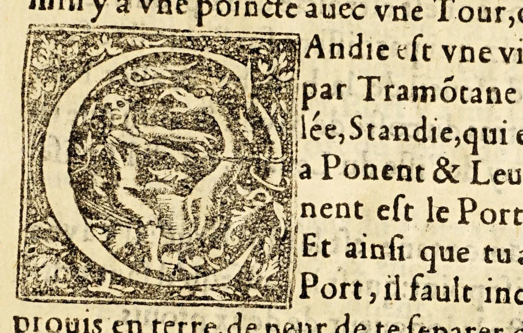 An illustration from Le portulan contenant la description tant des mers du Ponent despuis le destroict de Gibeltar iusques a la Schiuse en Flandres, que de la mer Mediterranée, ou du Leuant,, 1577, leaf 195