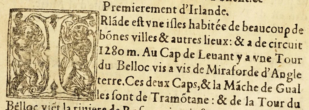An illustration from Le portulan contenant la description tant des mers du Ponent despuis le destroict de Gibeltar iusques a la Schiuse en Flandres, que de la mer Mediterranée, ou du Leuant,, 1577, leaf 21