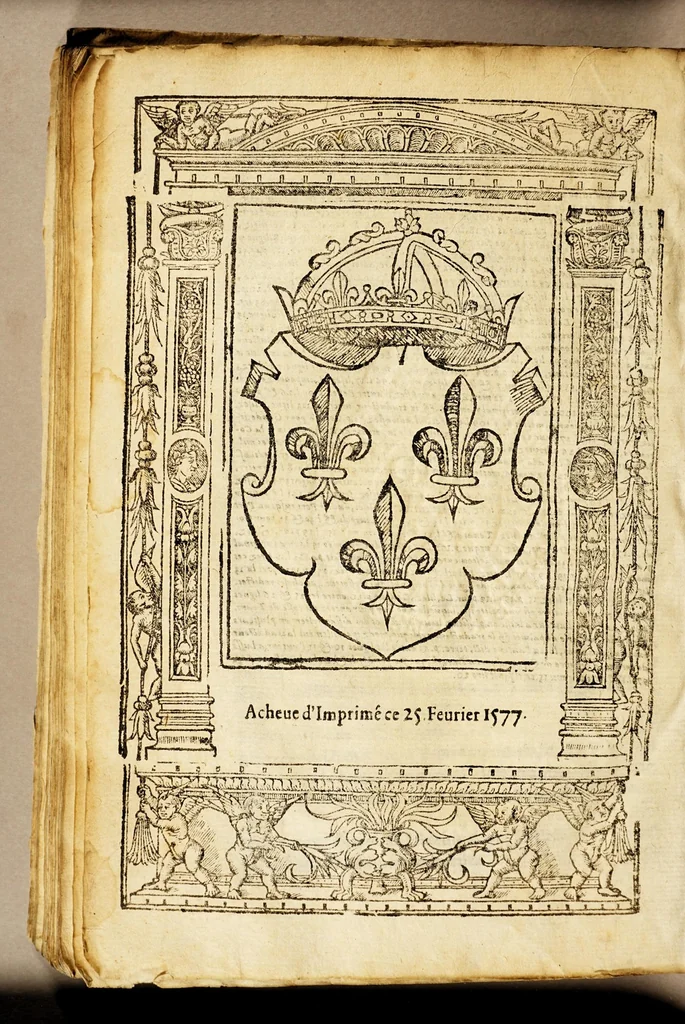 An illustration from Le portulan contenant la description tant des mers du Ponent despuis le destroict de Gibeltar iusques a la Schiuse en Flandres, que de la mer Mediterranée, ou du Leuant,, 1577, leaf 228