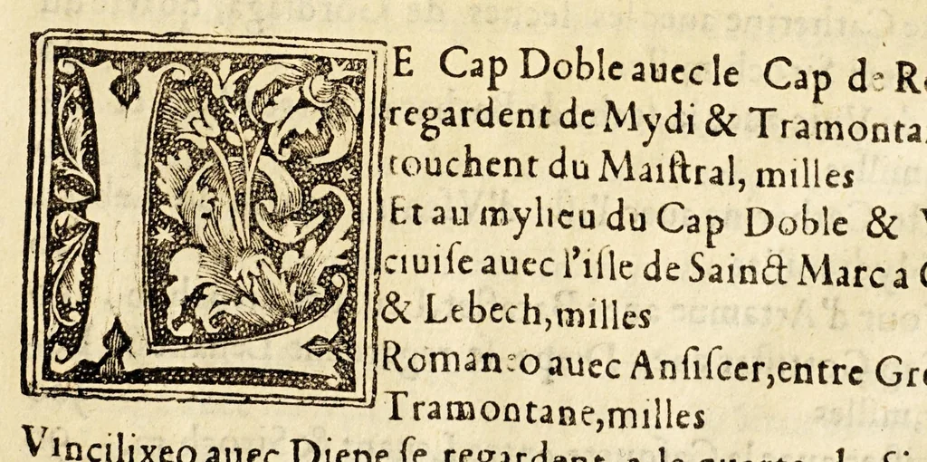 An illustration from Le portulan contenant la description tant des mers du Ponent despuis le destroict de Gibeltar iusques a la Schiuse en Flandres, que de la mer Mediterranée, ou du Leuant,, 1577, leaf 27