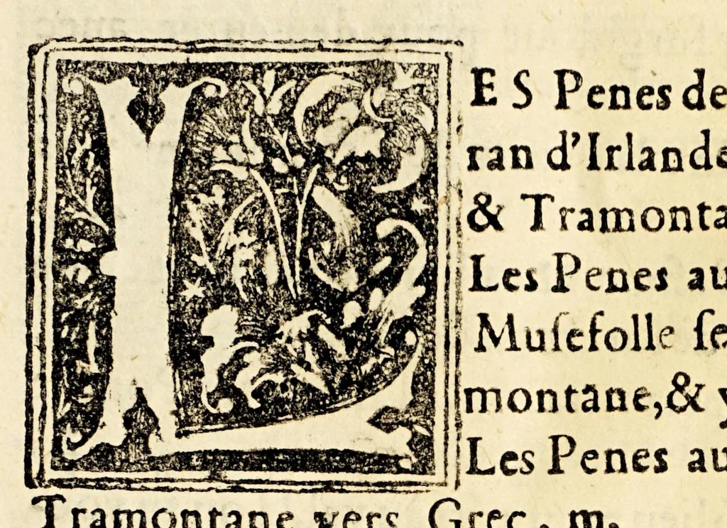 An illustration from Le portulan contenant la description tant des mers du Ponent despuis le destroict de Gibeltar iusques a la Schiuse en Flandres, que de la mer Mediterranée, ou du Leuant,, 1577, leaf 45